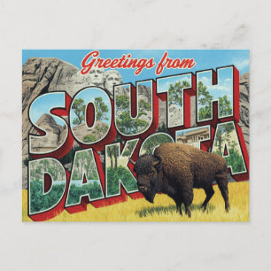 South Dakota Mount Rushmore Bison Vykort
