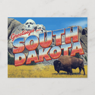 South Dakota Mount Rushmore Bison Vykort