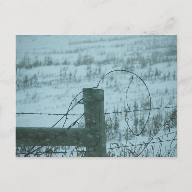 South Dakota Snowstorm Vykort (Framsida)