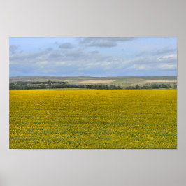 South Dakota Solros Farm, Painterly Poster