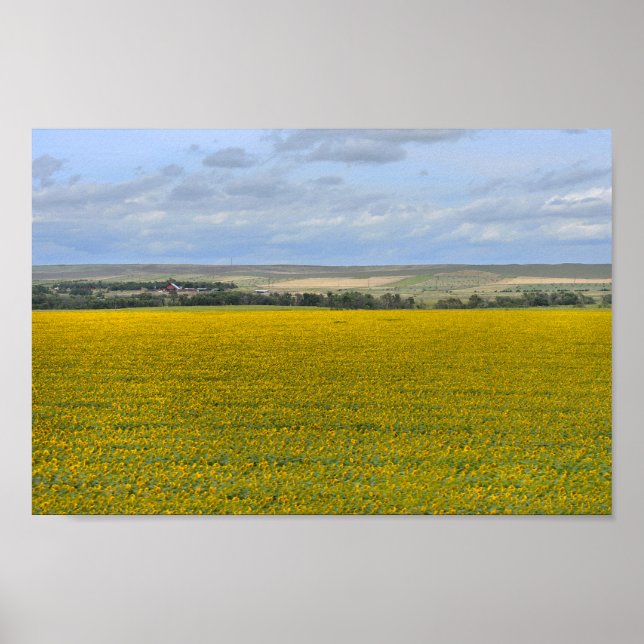 South Dakota Solros Farm, Painterly Poster (Framsidan)