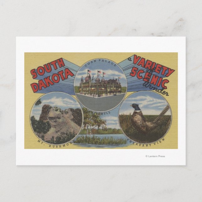 South Dakota - Variety of Scenia  Vykort (Framsida)