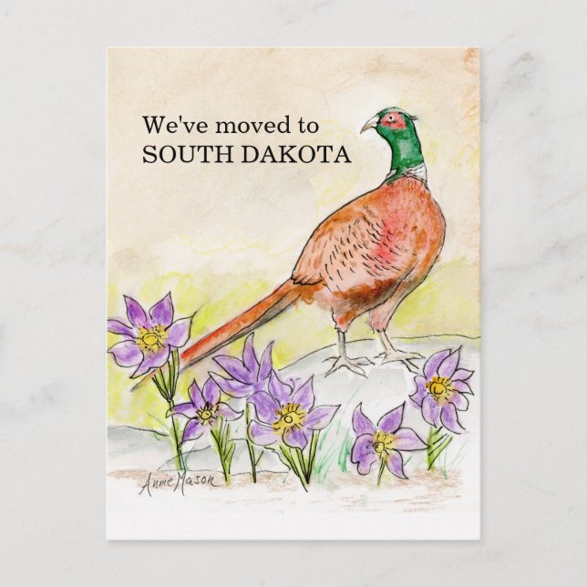 South Dakota Vykort (Framsida)