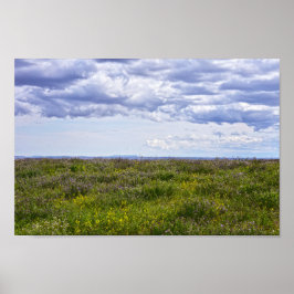 South Dakota Wildblommor Poster