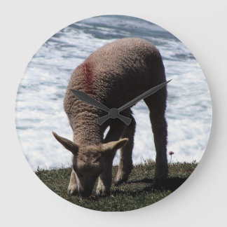 South Devon Lambe Grazing on Vild Kusten Stor Klocka