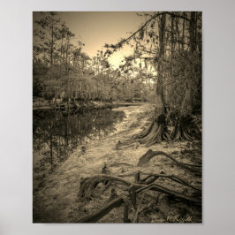 "South Florida Creek"  Poster
