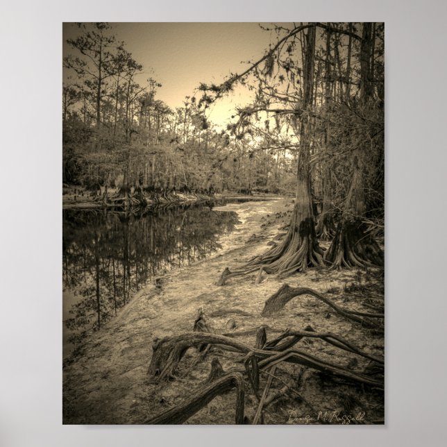 "South Florida Creek"  Poster (Framsidan)