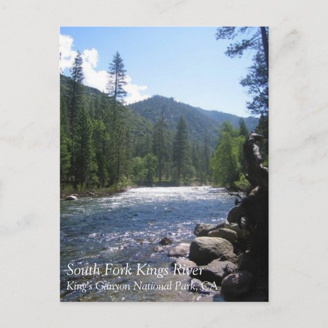 South Fork Kung River, Kung Canyon, CA Postcard Vykort (Framsida)