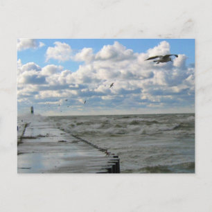 South Haven Pier-vykort Vykort