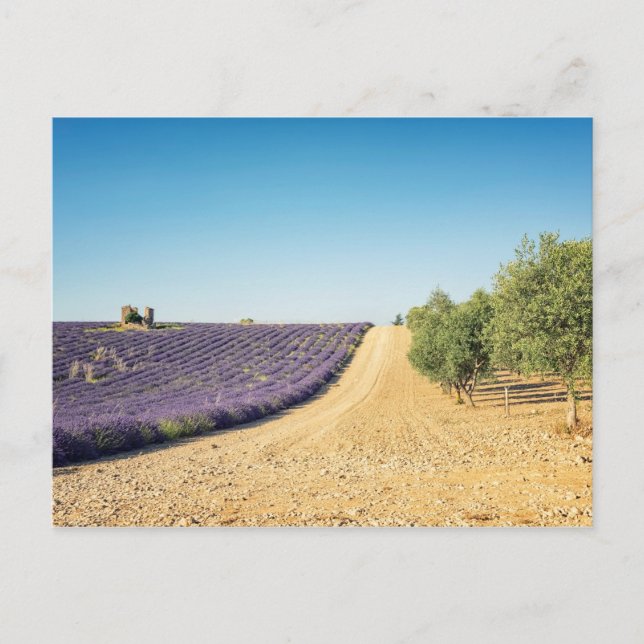 South of France Vykort (Framsida)