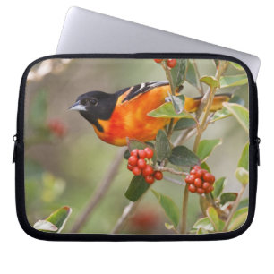South Padre Island, Texas, USA, Baltimore Oriole Laptop Fodral