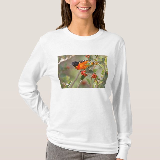 South Padre Island, Texas, USA, Baltimore Oriole Tee (Framsida)
