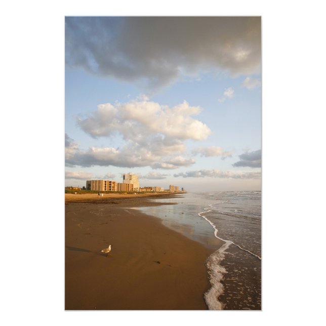 South Padre Island, Texas, USA, semesterhotell, Fototryck (Framsidan)