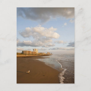 South Padre Island, Texas, USA semesterhotell, Vykort