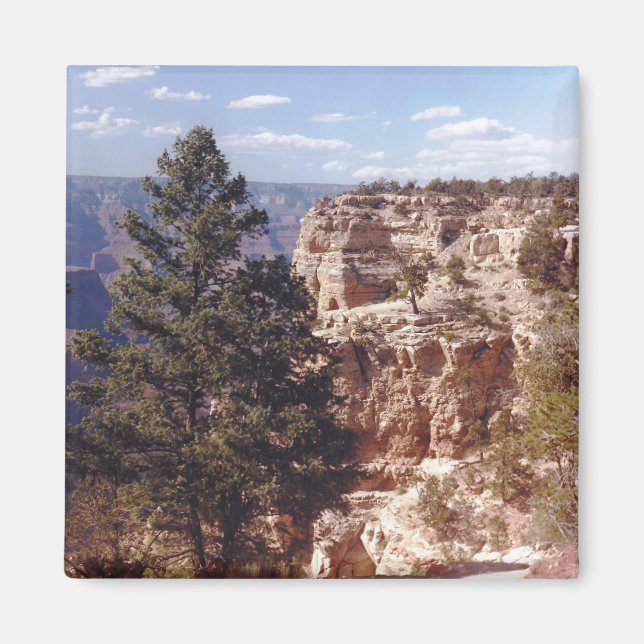 South Rim Grand Canyon Arizona Photo Designad Magnet (Framsidan)
