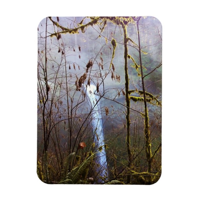 South Silver Falls, ELLER Magnet (Vertikal)