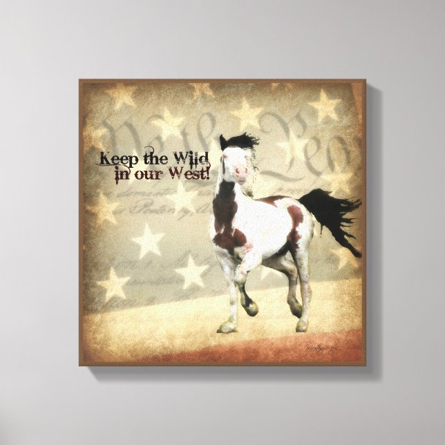 South Steens Shaman Wrapped Canvas (Framsida)