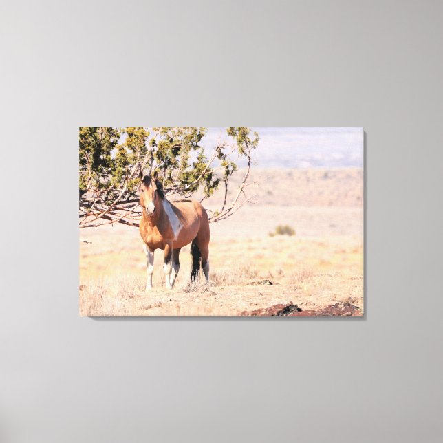 South Steens Vild Horse Canvastryck (Framsida)