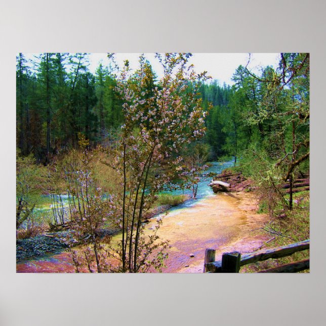 South Umpqua River Poster (Framsidan)