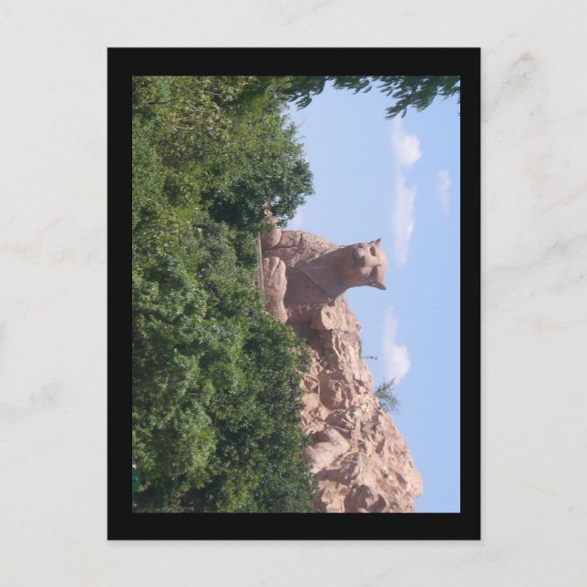 southafrica vykort (Framsida)