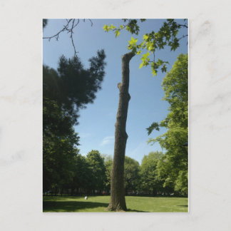 Southampton (Hoglands parkerar), Vykort