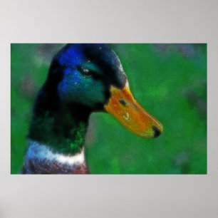 Southbound Mallard Skriv ut Poster