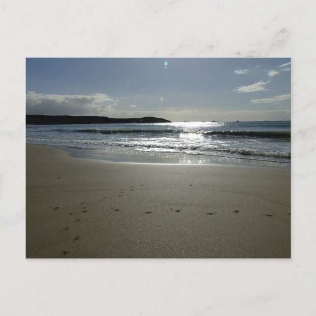 Southend Sparkle Vykort (Framsida)