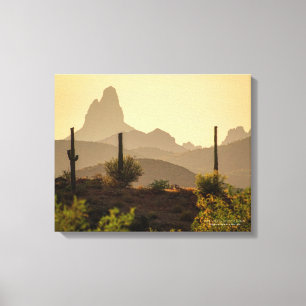 Southwest Desert Mountain Weaver's Nål AZ 20 x 16 Canvastryck