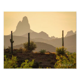 Southwest Desert Mountains Weavers Nål Arizona Fototryck