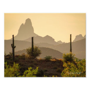 Southwest Desert Mountains Weavers Nål Arizona Fototryck