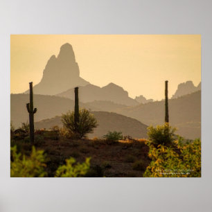 Southwest Desert Mountains Weavers Nål Arizona Poster