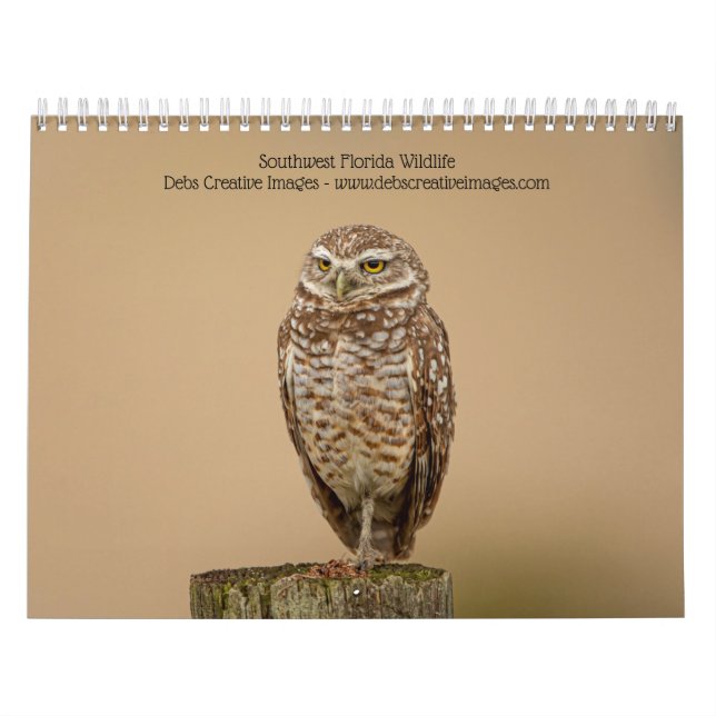 Southwest Florida Wildlife 2026 Kalender (Omslag)