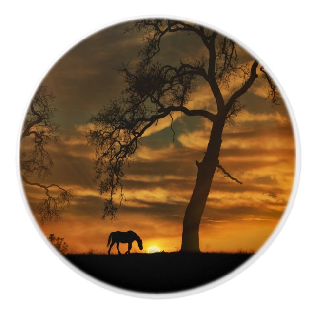 Southwest Horse Knobs and Pulls Knopp (Framsidan)