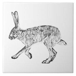 Southwest Jackkanit Pen och Bläck Art Kakelplatta