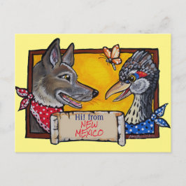 Southwest New mexico Coyote Roadrunner Souvenir Vykort
