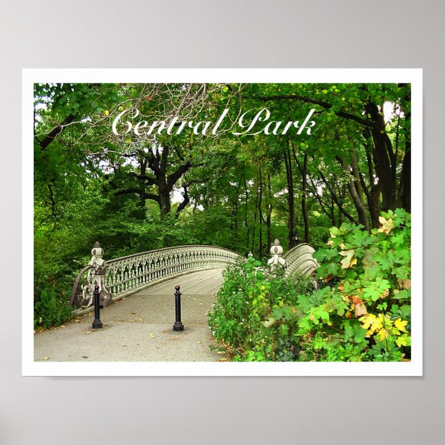 Southwest Reservoir Bridge Central Park, NYC Poster (Framsidan)