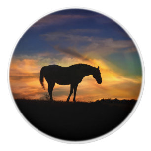 Southwest Sunset Horse Knobs and Pulls Knopp