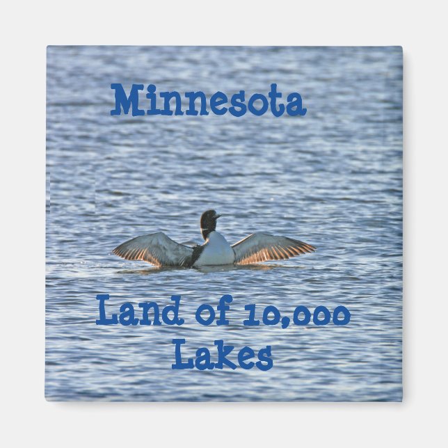 Souvenir i Minnesota Magnet (Framsidan)
