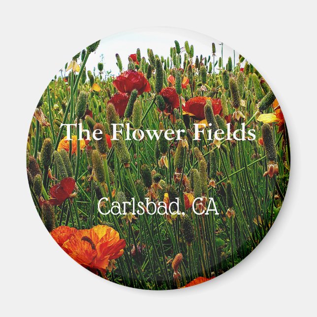 Souvenir Magnet, Flower Fält, Carlsbad, CA. Magnet (Framsidan)