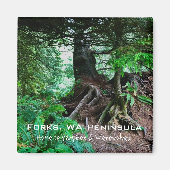 Souvenir Magnet: Forks, WA-Peninsulan Magnet (Framsidan)