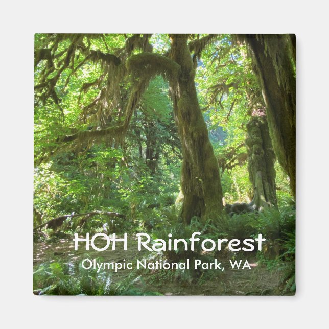 Souvenir Magnet—Hoh Rainforest, Olympic NP Magnet (Framsidan)