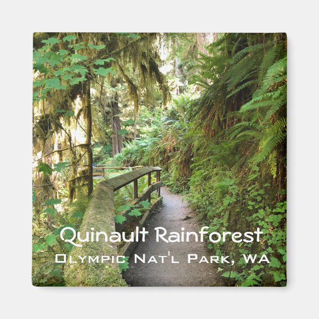 Souvenir Magnet—Quinault Rainforest, Olympic NP Magnet (Framsidan)