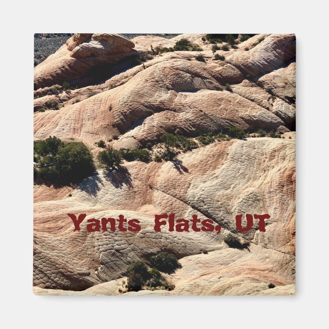 Souvenir Magnet: Yants Flats, St. George, UT Magnet (Framsidan)