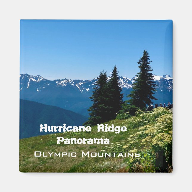 Souvenir Magnets: Orkanen Ridge-Olympic Mtns Magnet (Framsidan)