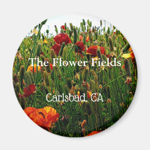Souvenirmagnet, blommafält, Carlsbad, CA. Magnet