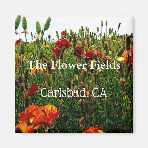 Souvenirmagnet, blommafält, Carlsbad, CA. Magnet