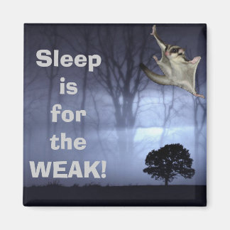 Sov är till WEAK! Magnet
