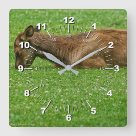 Sov Little One Fyrkantig Klocka