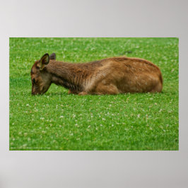 Sov Little One Poster