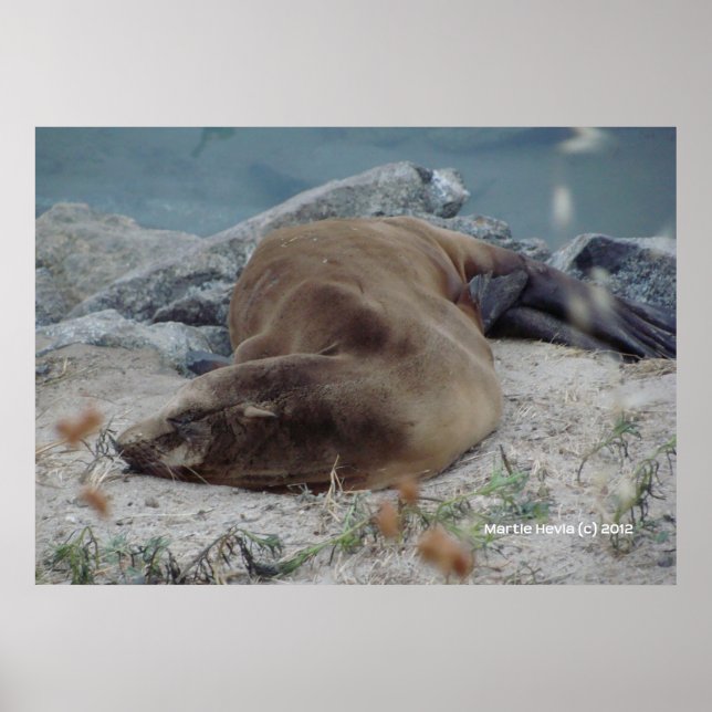 Sov på Sten Poster (Framsidan)